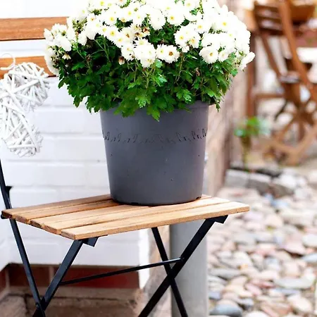 Trautes Heim Ost Lägenhet Maasholm