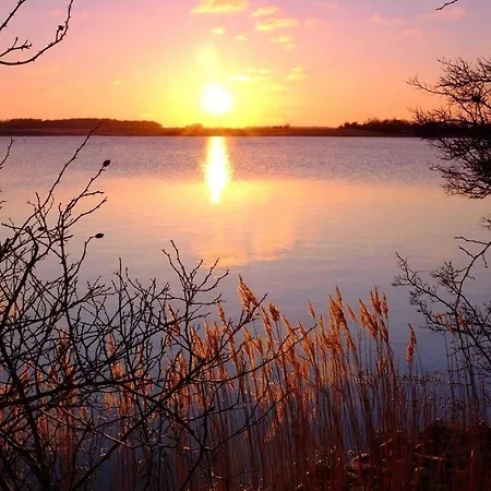 Trautes Heim Ost * Maasholm