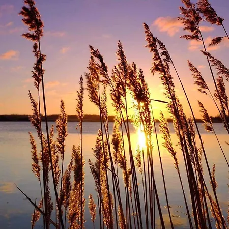 Trautes Heim Ost Apartment Maasholm